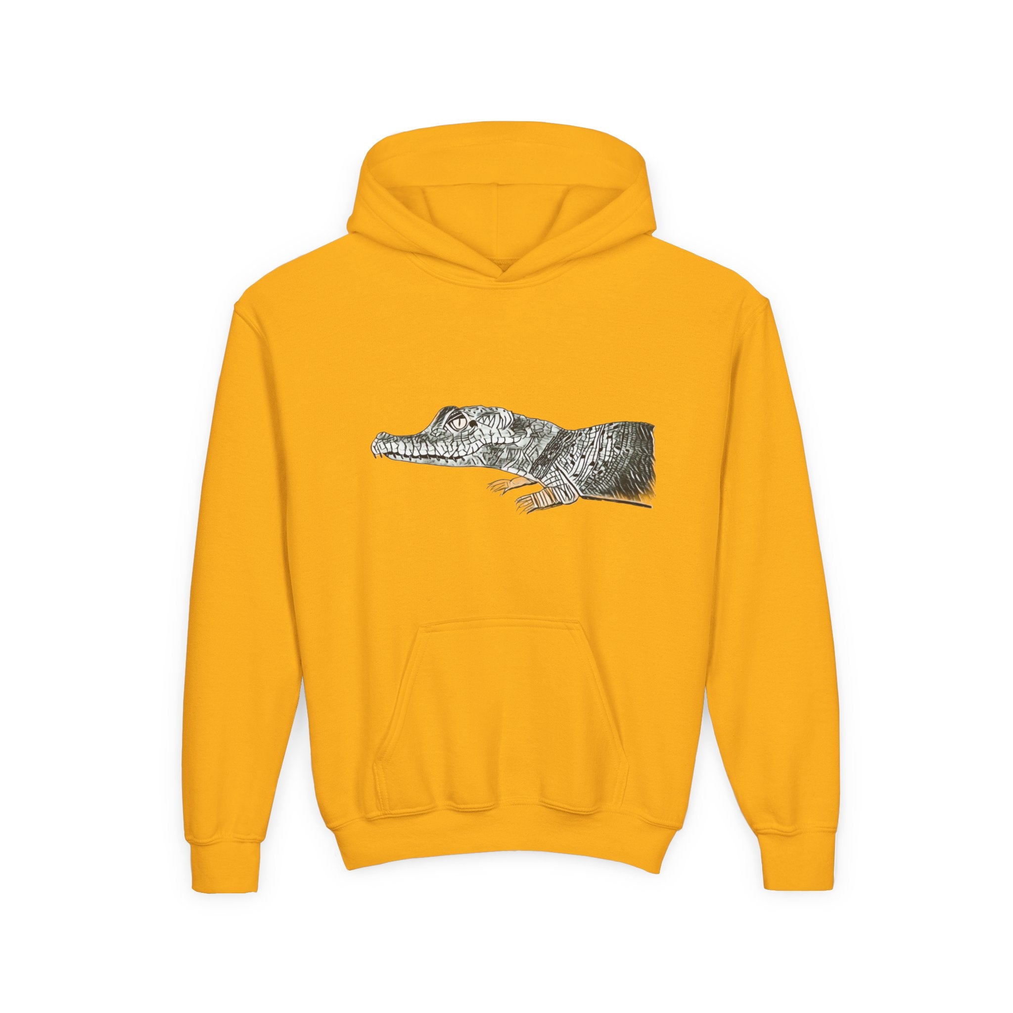 Youth Hoodie with Vintage Alligator Illustration