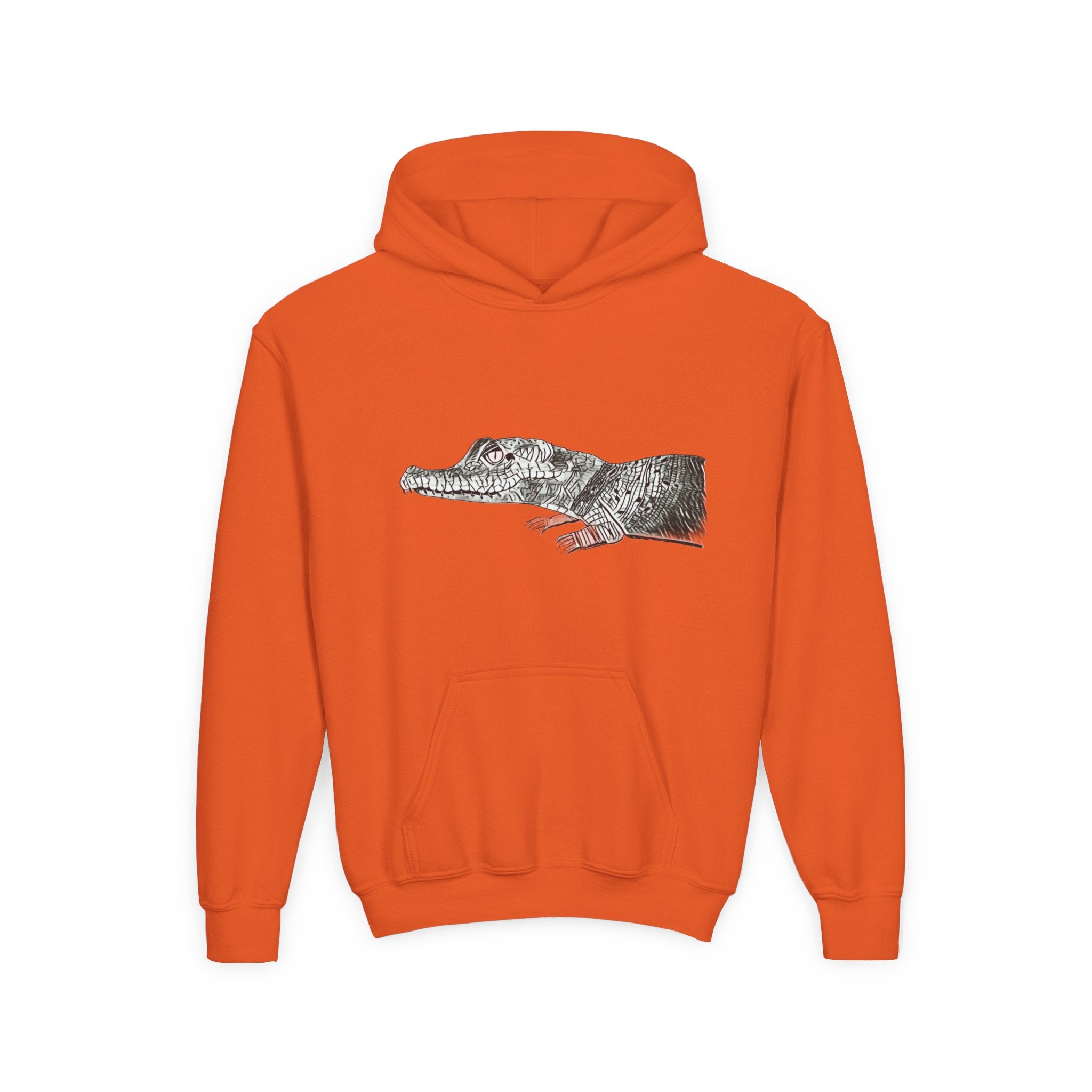 Youth Hoodie with Vintage Alligator Illustration