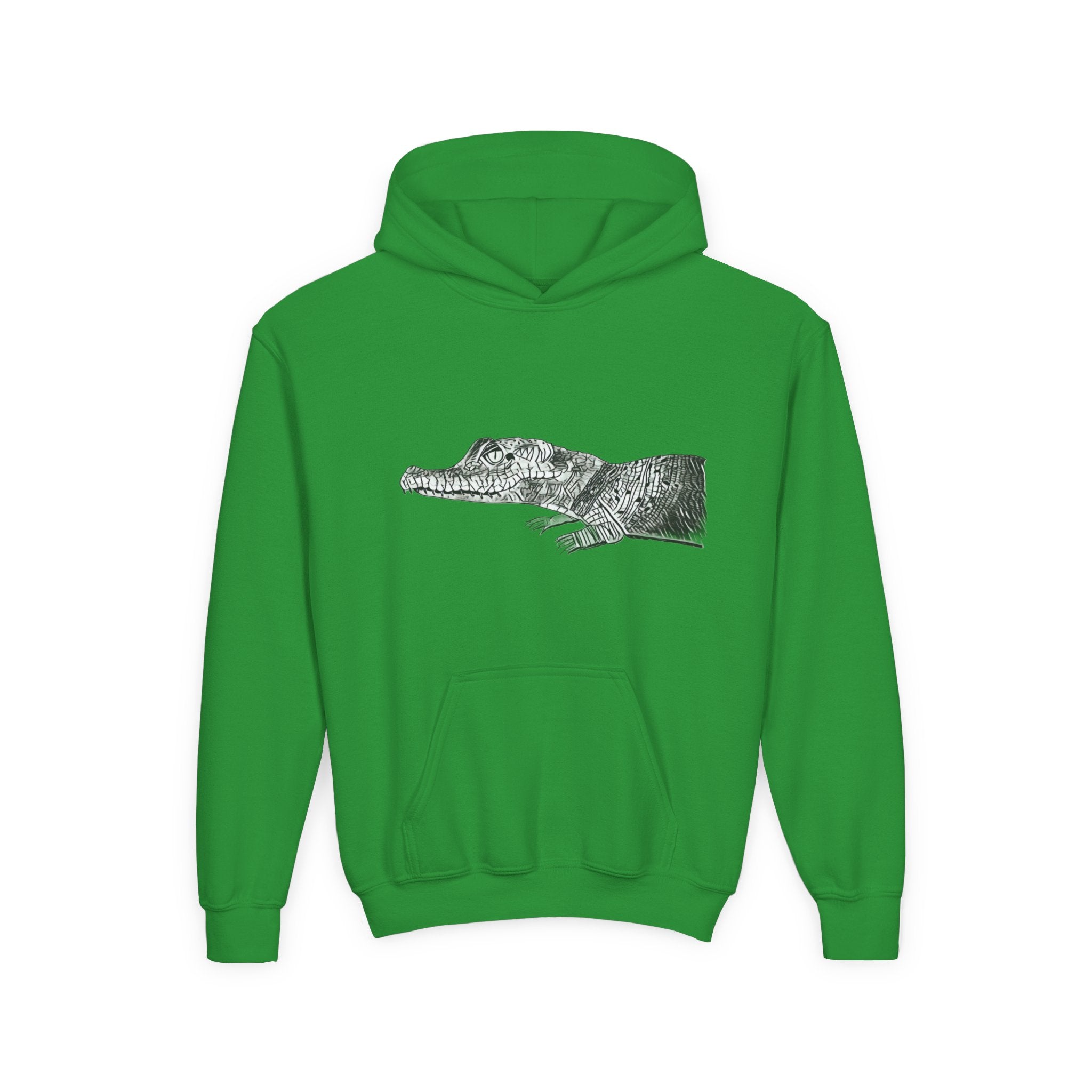 Youth Hoodie with Vintage Alligator Illustration