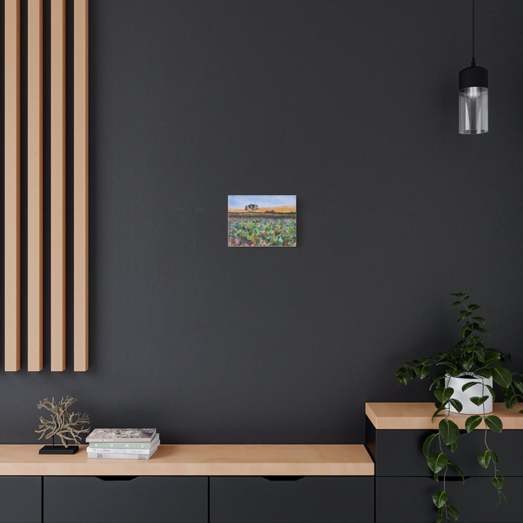 Wildflower Field Sunset Canvas Print