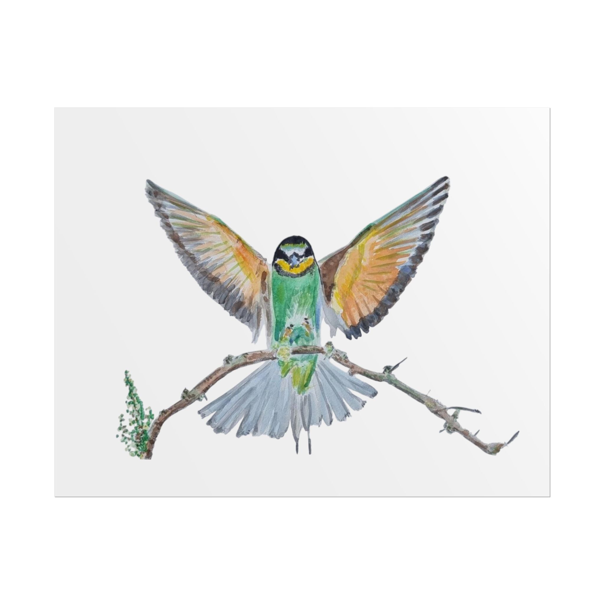 Watercolor Bee-eater Bird Poster — Rolled Art Print (Nature Wall Decor)